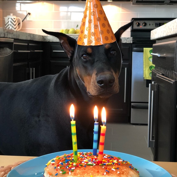 Meet your Posher, Anna - Picture 5 of 8